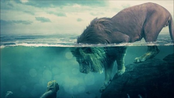 Koan - Odysseus Under The Old Tree