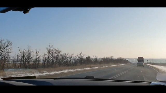 Забрали собаку с трассы, которая просидела там более 5 дней. смотреть онлайн