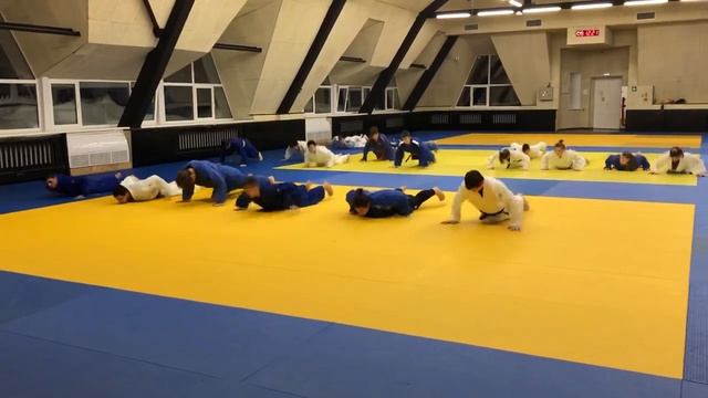 Judoka Warm-up/Разминка дзюдоиста