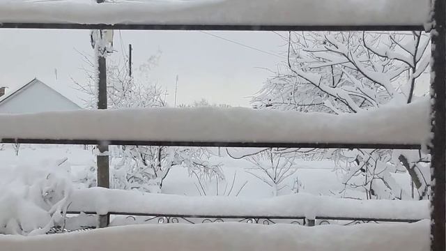 Зима на юге. Снег в Краснодарском крае.