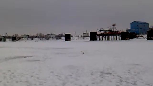 Ранняя чайка.avi смотреть онлайн