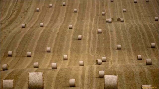 Польза и вред кукурузы смотреть онлайн