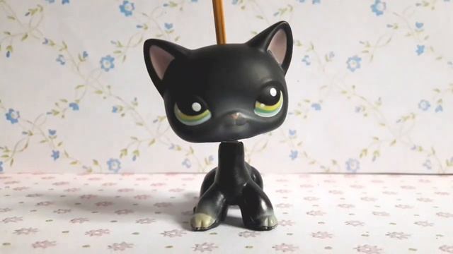 Моя коллекция европейских кошек(стоячек) смотреть онлайн