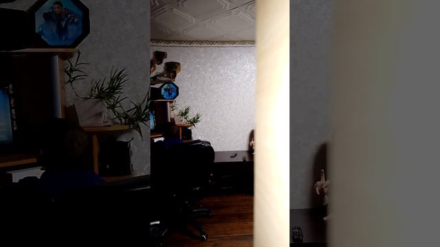 злая чихуахуа смотреть онлайн