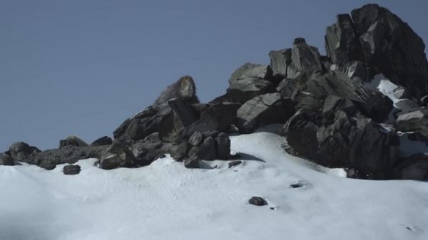 Lost Worlds: the Forgotten Creatures of Prehistory