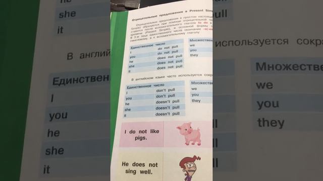 Отрицательные предложения в Present Simple /английский язык смотреть онлайн