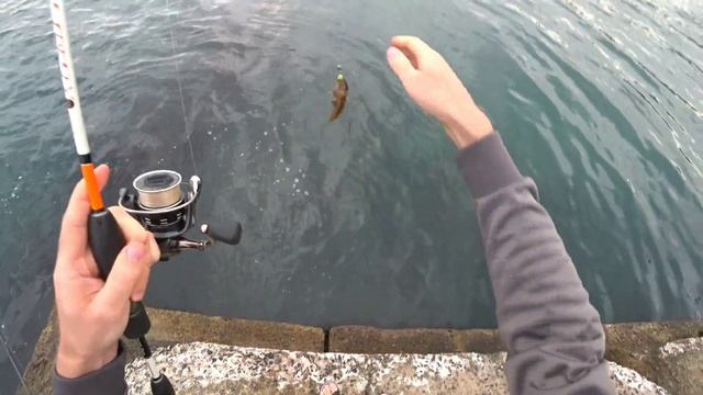 УЛЬТРАЛАЙТ В ЧЕРНОМ МОРЕ. ЛОВЛЯ БЫЧКА на силиконовые приманки. САРГАН НА ПИЛЬКЕР. смотреть онлайн