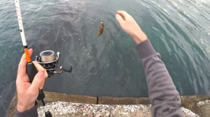 УЛЬТРАЛАЙТ В ЧЕРНОМ МОРЕ. ЛОВЛЯ БЫЧКА на силиконовые приманки. САРГАН НА ПИЛЬКЕР.