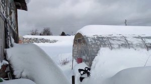 Теплицы из ПЭТ бутылок. Часть 3.