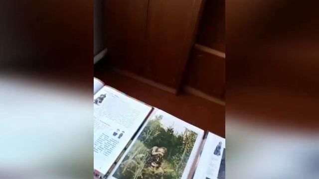 Художник русской сказки Беседа о В. Васнецове Родниковская детская библиотека смотреть онлайн