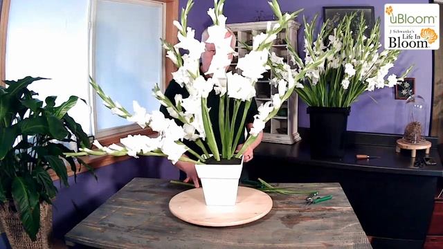 Symmetrical Fan-Shaped Gladiolus Arrangement- LIVE with J смотреть онлайн