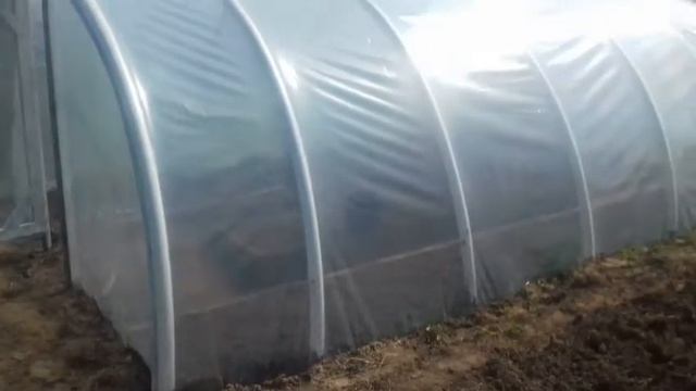 коровы в электропастухе /теплица из плёнки светлица / охота у коров /жизнь в деревне смотреть онлайн