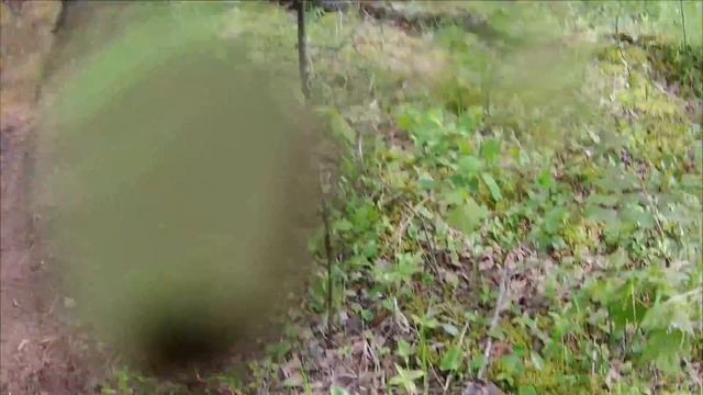 Suzuki Van Van Off Road | + | Tips And Tricks For Beginner Adventure & Dualsport Riders | 2K