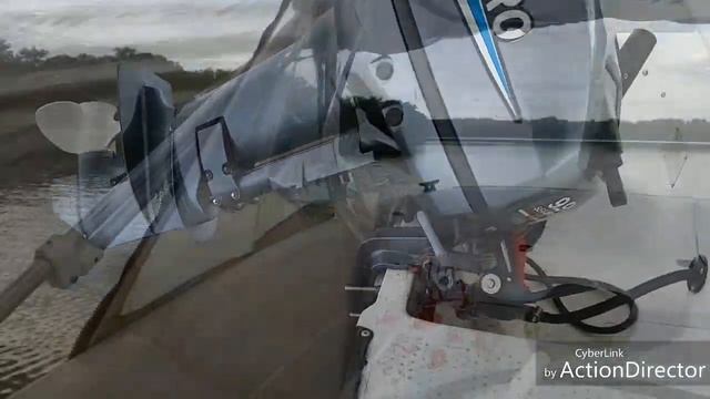 Кайман 350 + Sea Pro 9.9, дельфин побеждён!!!