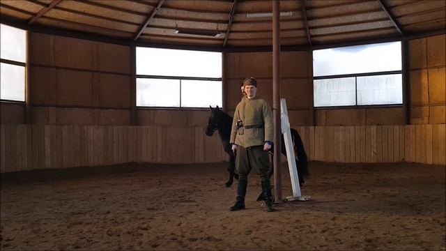 приучение коня к пугающим его предметам и звукам смотреть онлайн
