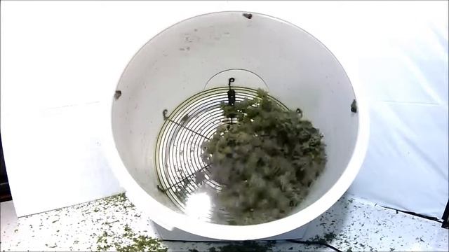 Composter смотреть онлайн