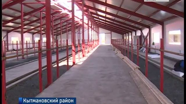 Строительство молочной фермы на 200 голов смотреть онлайн