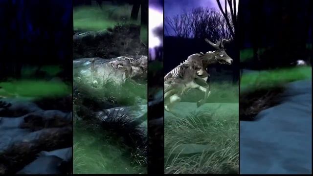 Big Buck Hunter: Reloaded-Zombie Deer Adventure смотреть онлайн