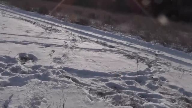 поймал 49го волка смотреть онлайн