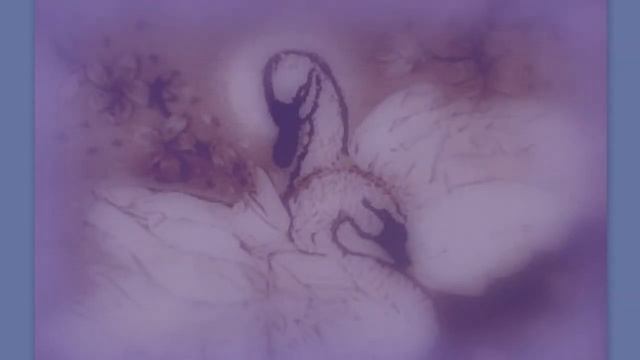 "У весняному небі..."Юлия Величко читает авторские произведения. смотреть онлайн