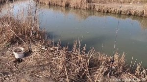 САМАЯ ЛУЧШАЯ СНАСТЬ ДЛЯ САЗАНА КАРАСЯ 2023г.