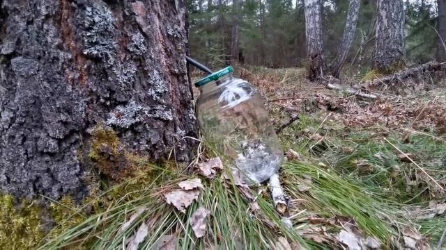 Грибные поделки в стиле ар-деко