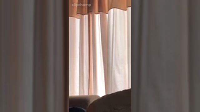 TERAPIA FRITZ PERLS смотреть онлайн