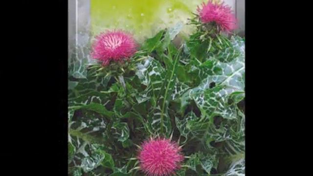 Мебель для любителей живописи