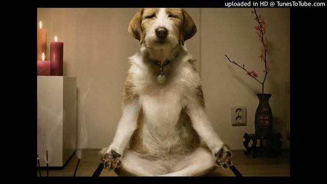 МЕДИТАЦИЯ ОТ ТРЕВОЖНОСТИ 2022 | ДЛЯ СНЯТИЯ ТРЕВОГИ смотреть онлайн