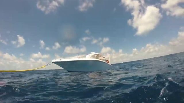 And another Dive смотреть онлайн