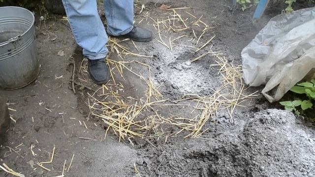 ЖИМОЛОСТЬ: посадка и уход осенью смотреть онлайн