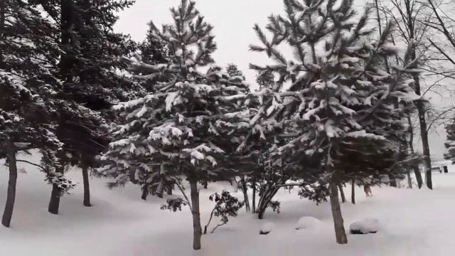 Татьянин день. Таганрог. Всем Татьянам посвящается. смотреть онлайн