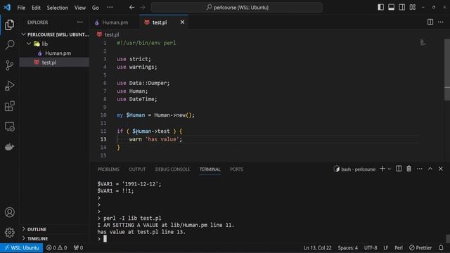 Perl Mouse (OOP) #4: Attributes - Advanced Concepts смотреть онлайн