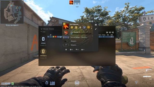 Анимированный аватар Steam в CS2 смотреть онлайн