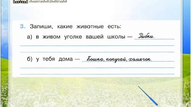 Задание 3 Животные живого уголка - Окружающий мир 2 класс (Плешаков А.А.) 1 часть смотреть онлайн