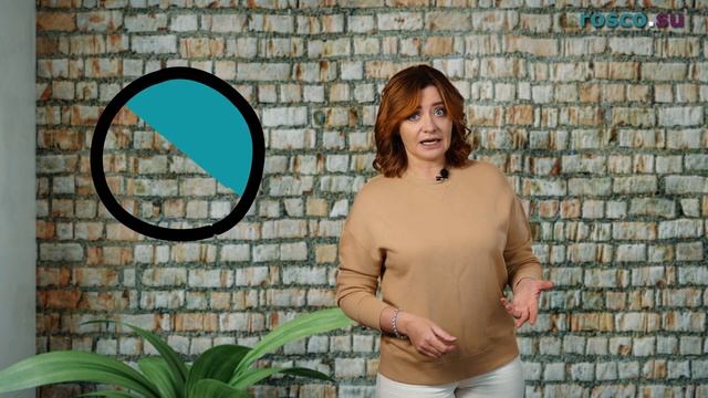 В чем разница между ВНЖ, ПМЖ и гражданством? смотреть онлайн