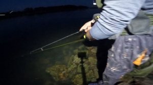 Ночной судак на воблеры. Теория трех забросов.