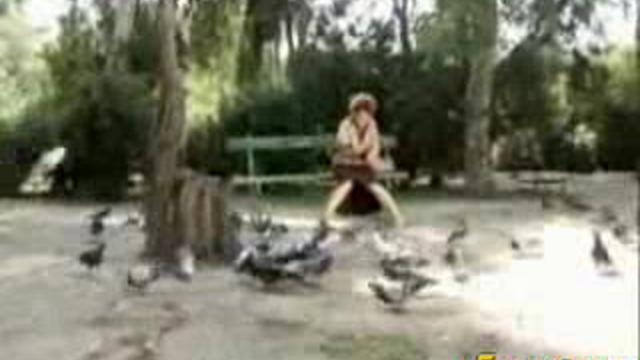 Бабуля и голуби смотреть онлайн