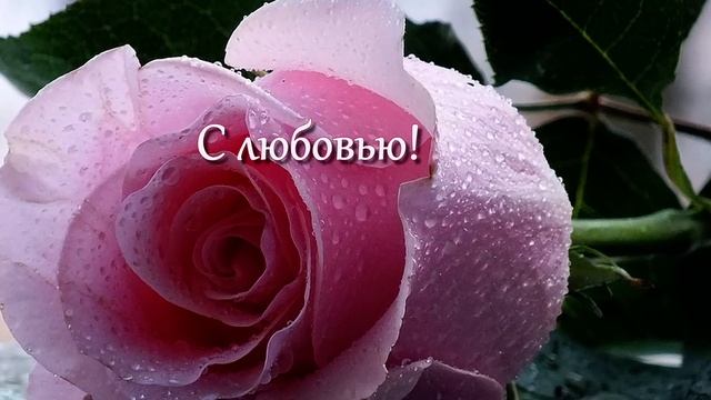 Для тебя, моя подружка! смотреть онлайн