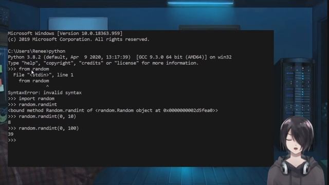 [#6] Python Tutorial For Beginners : Libraries смотреть онлайн