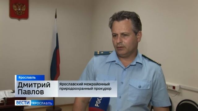 Природоохранная прокуратура подтвердила факт загрязнения озера Неро смотреть онлайн