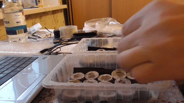 Сеем перец в торфяные таблетки. смотреть онлайн