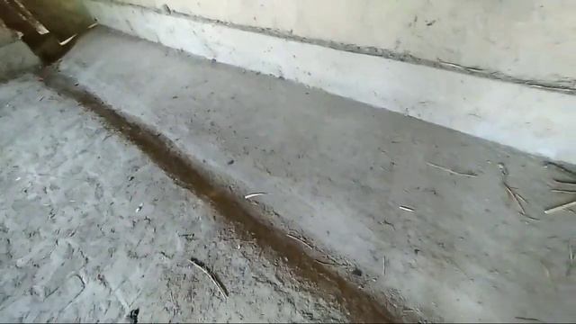 Mana qanday molxona qurish kerak смотреть онлайн