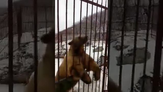 20 апреля 2020 г. смотреть онлайн