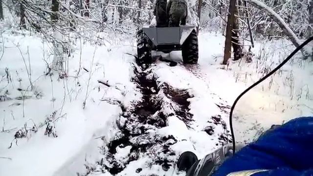 Тайга барс и каракат катки по лесу, ищем новые пути смотреть онлайн