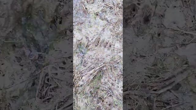 Рыбалка на озёрах Молчановского района Томской области. смотреть онлайн