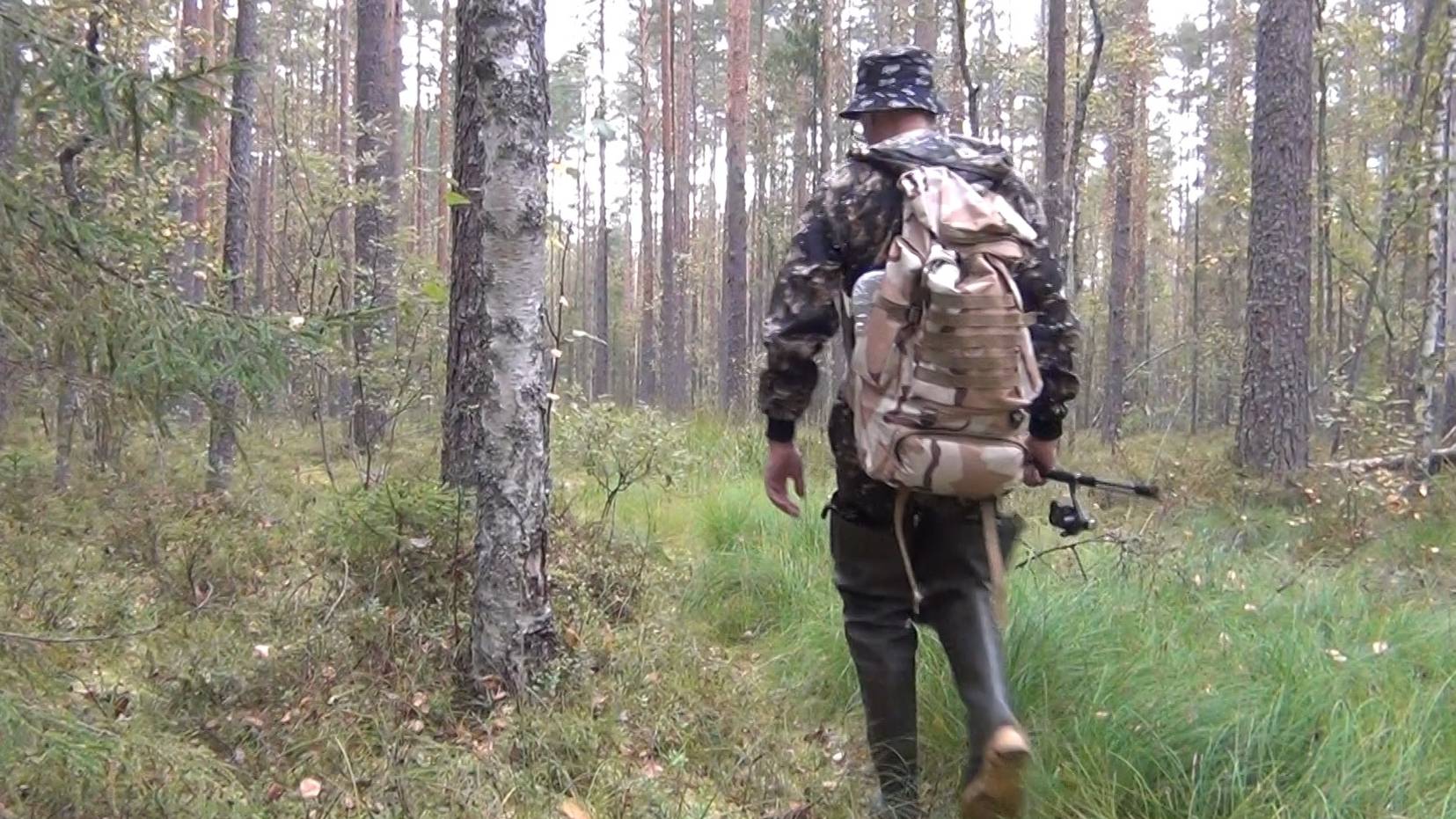 Пошли окуней погоняем!)