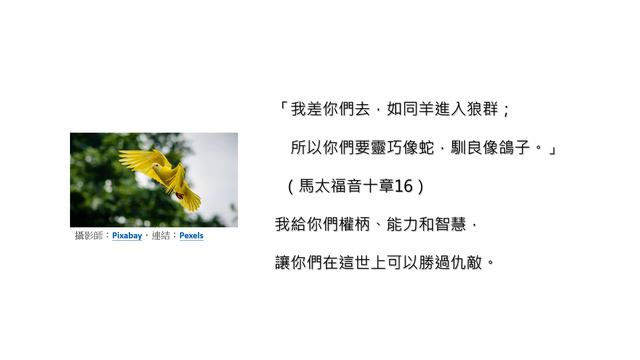 聽耶穌的聲音-50 ∣ 平安 ∣ 我留下平安給你們；我將我的平安賜給你們。 смотреть онлайн