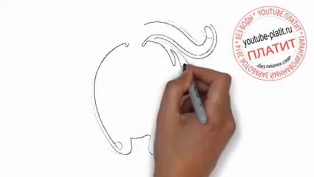 Нарисованные карандашом кошки Как нарисовать отжимающуюся кошку за 22 секунды поэтапно карандашом смотреть онлайн