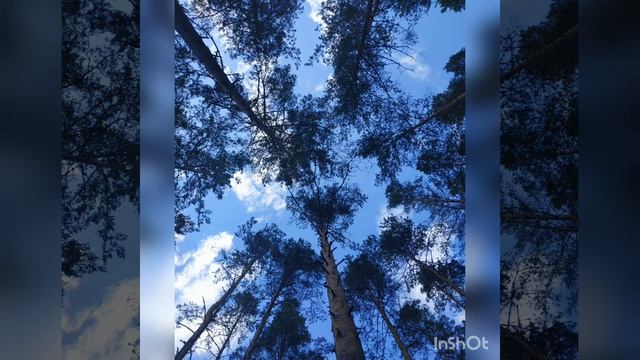 Медитация "Дыхание" смотреть онлайн